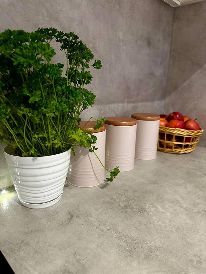 Apartament Centrum, Miejsce Parkingowe W Cenie وارسو المظهر الخارجي الصورة