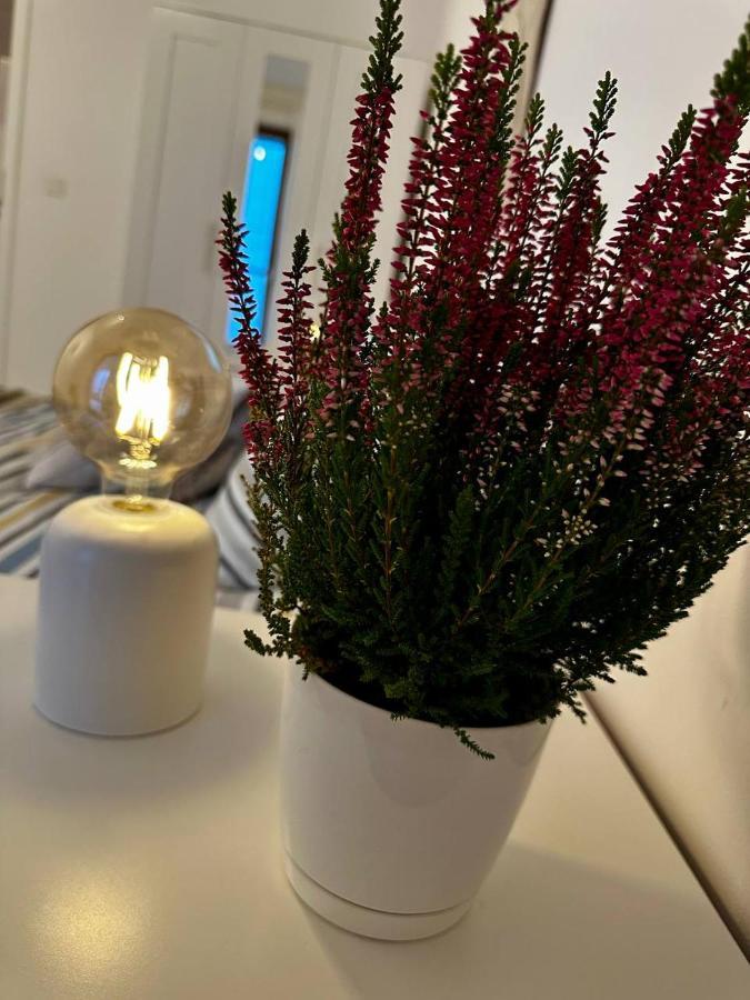 Apartament Centrum, Miejsce Parkingowe W Cenie وارسو المظهر الخارجي الصورة